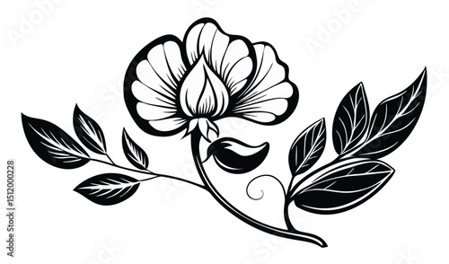Elegant black and white sweet pea flower illustration