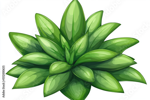 Wallpaper Mural green leaves isolated on white Torontodigital.ca