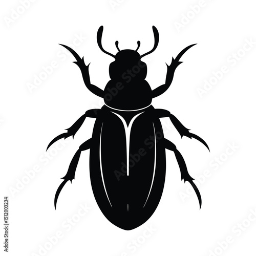 Black beetle insect silhouette on white background