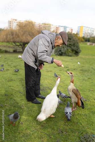 Elderly man feeding ducks and pigeons in a city park