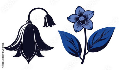 Stylized blue flowers and bellflower illustration