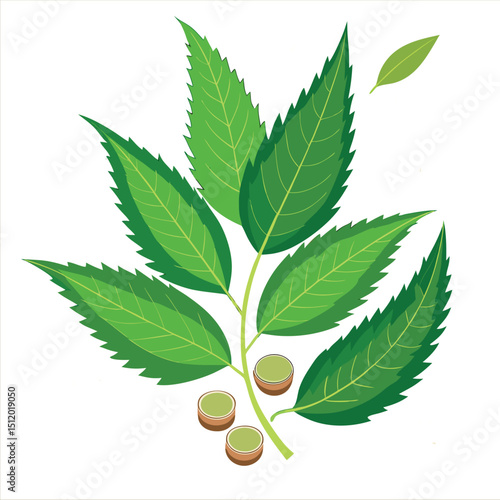 "Neem Leaves: Nature’s Cure for Health, Skin, and More"