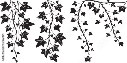 Black Silhouette Ivy Vines with Star Shaped Leaves Hanging Vertically