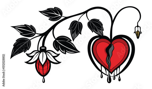 Bleeding heart plant with black leaves illustration