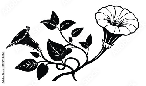 Elegant black and white datura flower illustration