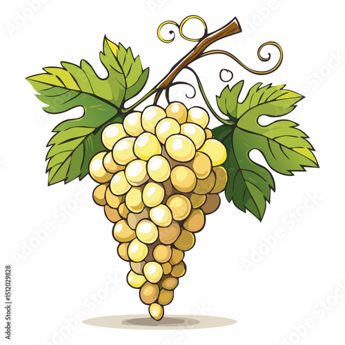Bunch of grapes vector floral illustration. Image of summer fruits and leaves on isolated background. Raw materials for wine and juice
