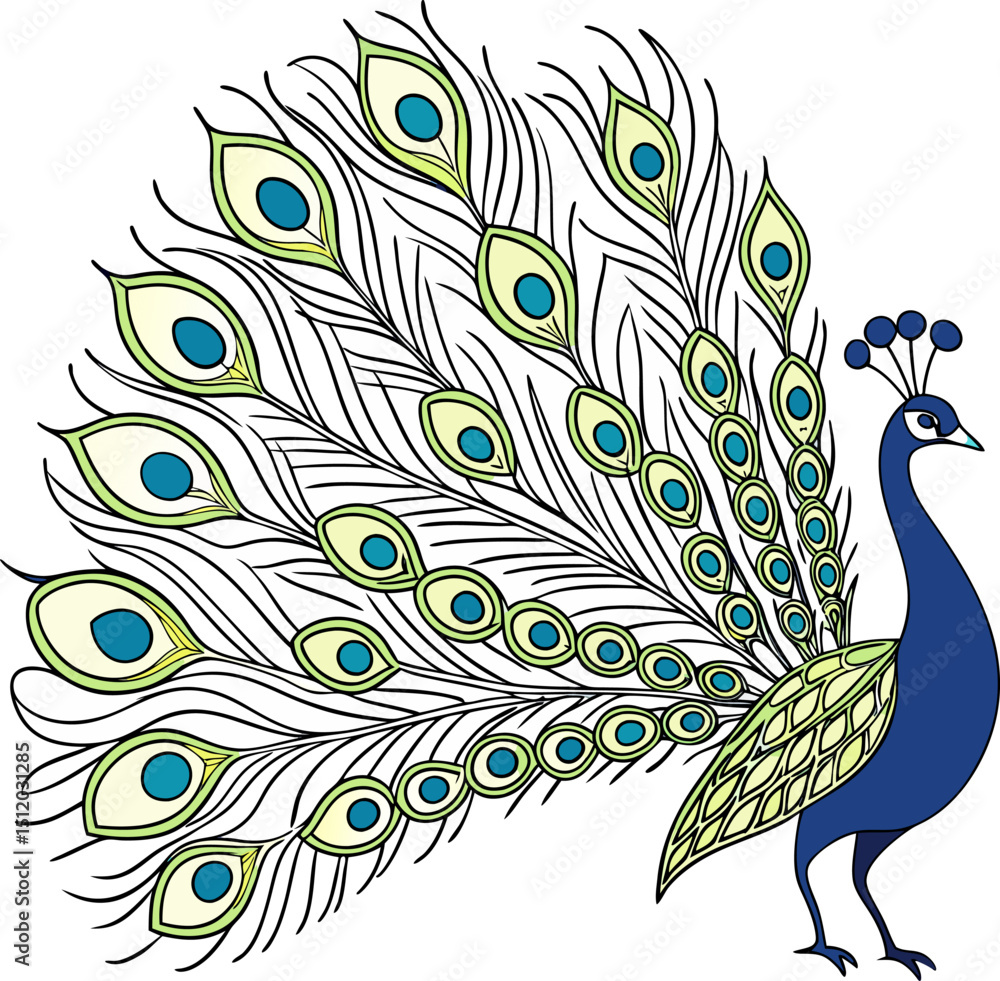 Obraz premium Elegant Peacock with Colorful Feathers in Vector Line Art Style