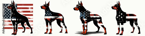 Doberman Pinscher Dog. 4th of July Independence Day American Flag Patriotism Usa America Clipart Vector Illustration. Athletic canine friend explore the vigilant breed info and guide.