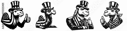 Camel. 4th of July Independence Day American Flag Patriotism Usa America Clipart Vector Illustration. Hardy desert ungulate source transport and sustenance animal adaptation.