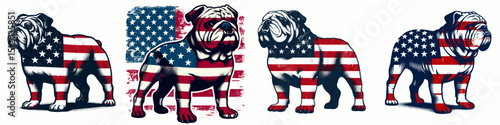 Bulldog Dog. 4th of July Independence Day American Flag Patriotism Usa America Clipart Vector Illustration. English bull pet canine breed info robust companion temperament trait.