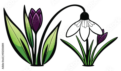 Spring flowers crocus and snowdrop illustration