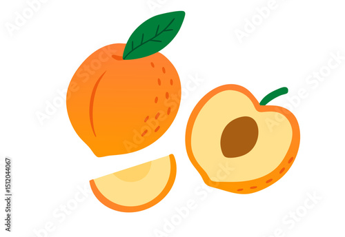 vector illustration of peach 