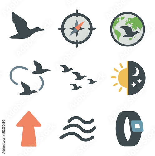 Bird Migration Icons. Flat icon set of how birds migrate: migratory bird in flight, compass direction, global