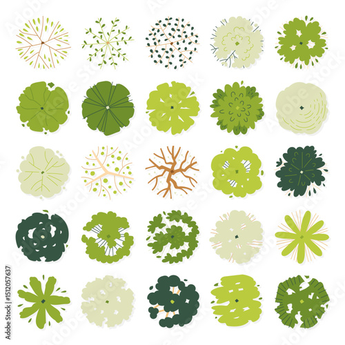 hand drawn illustration top view of tree isolated on white background.