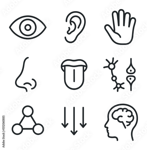 Multisensory Integration Icons. Outline icon set of multisensory integration research: eye icon, ear icon, hand icon, nose icon,