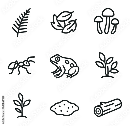 Rainforest Icon Set. Outline icon set of rainforest understory life: fern frond, leaf litter, mushroom cluster, leafcutter ant,