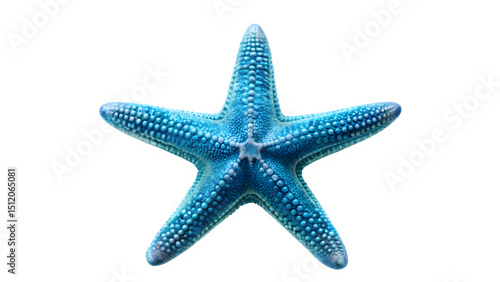 Blue Starfish Isolated on Transparent Background - Marine Wildlife Ocean Animal

