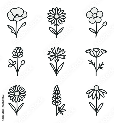 Wildflower Icon Grid. Outline icon set of wild meadow flowers: poppy, daisy, buttercup, clover, cornflower, queen anne’s lace,