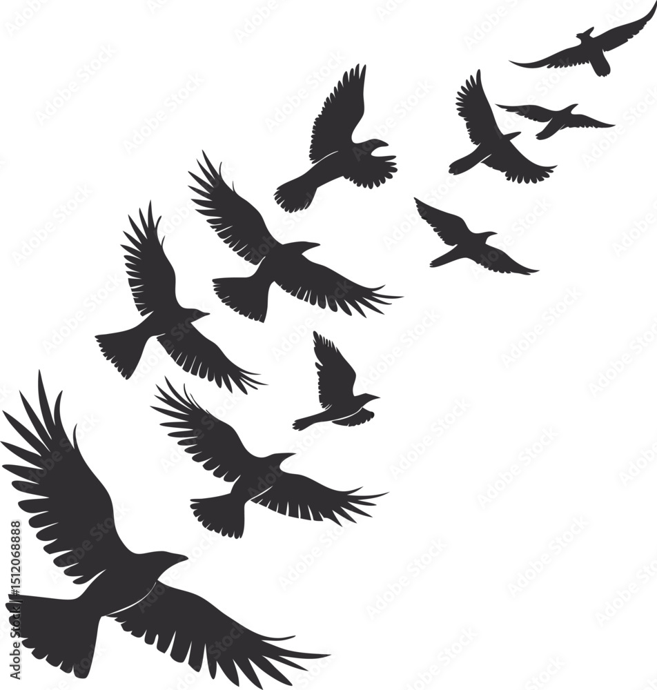 bird silhouette bird silhouette