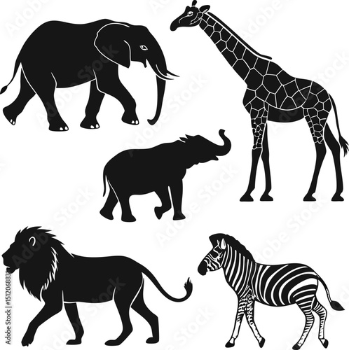 Animals silhouette