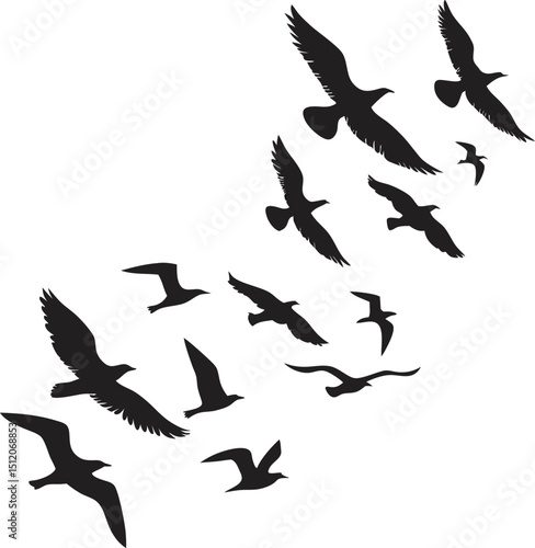 bird silhouette