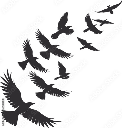 bird silhouette