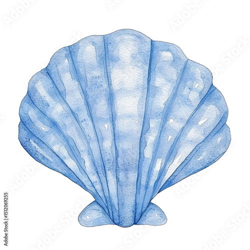 Watercolor blue shell illustration, marine coastal element  isolated on white transparent background
