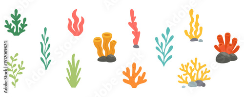 Underwater plants and corals set. Seaweed, marine algae, ocean corals illustration. Aquarium decoration pack.
