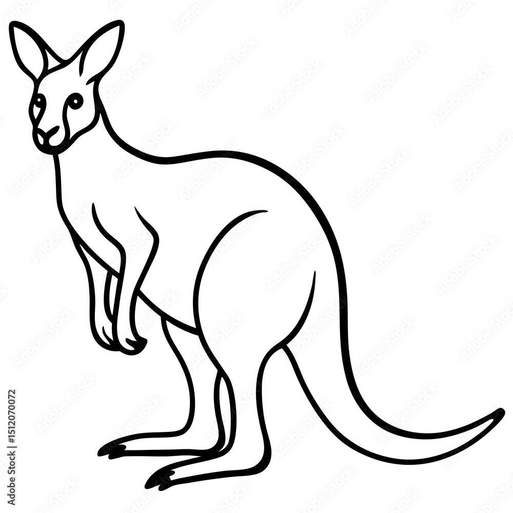 Modern Kangaroo Line Drawing Modern Kangaroo Line Drawing