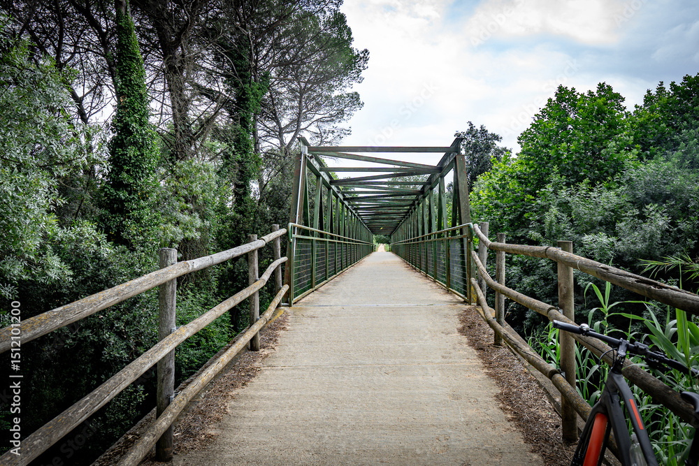 Green rusty metal footpath bridge in Girona on a hiking route Green rusty metal footpath bridge in Girona on a hiking route