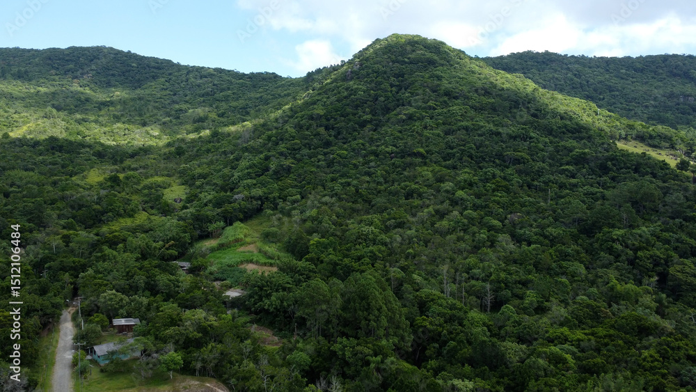 Natureza Mata Atlântica Natureza Mata Atlântica