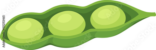 Green Soybean Pod Illustration