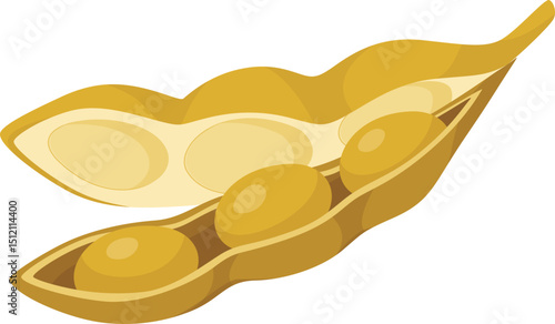 Dry Soybean Pod with Yellow Beans