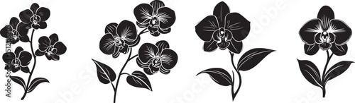 Black Orchid Flower Silhouette Vector Clipart for Tattoos and Design.