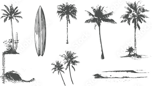 palm tree silhouette set, summer tropical beach vector illustration, set of palm tree silhouettes vector and transparent background.