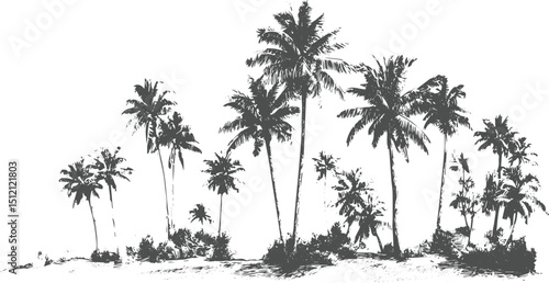 Palm tree black silhouettes seamless border. Monochrome hand drawn vector illustration, silhouette art black, transparent background.