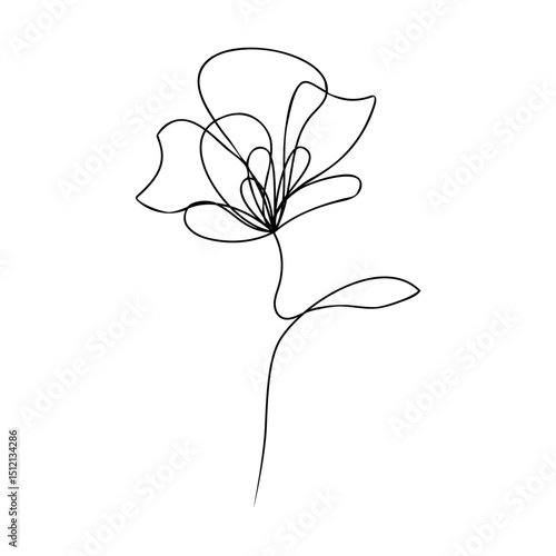 Minimalist flower outline drawing. One line art work. Continuous single line drawing. Vector illustration, vector illustration for t-shirt, cup, tattoo, decoration and print.