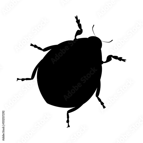 Black silhouette of ladybug insect on white background. Isolated vector illustration.