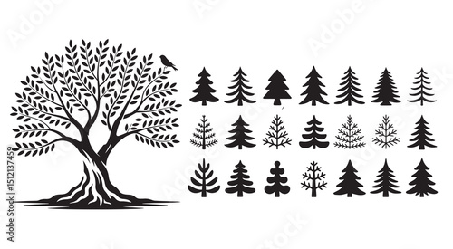 Olive tree and various evergreen tree silhouettes