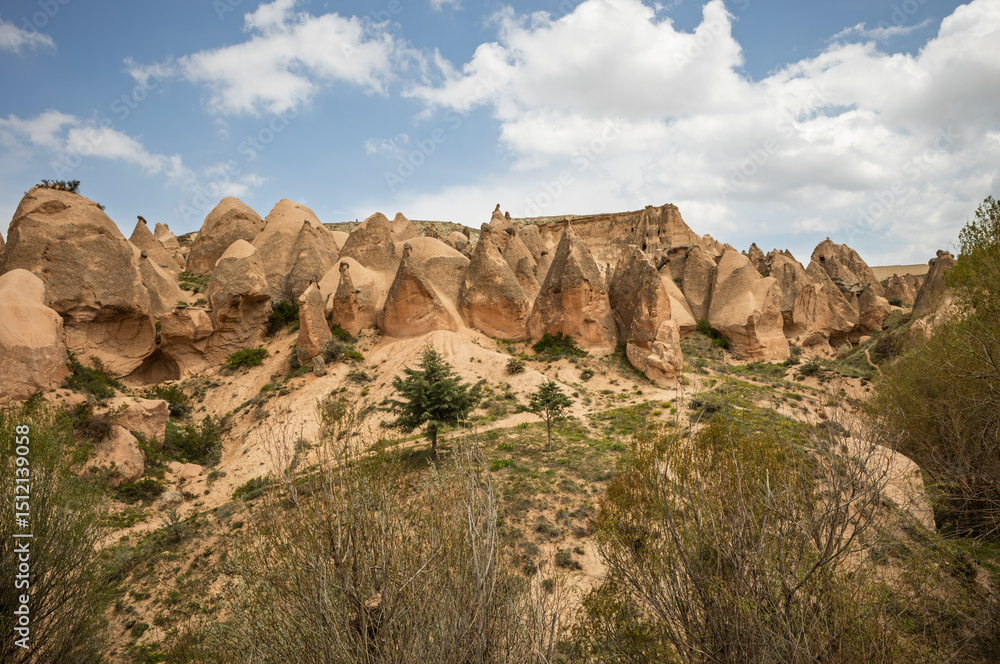 Fototapeta premium Cappadocia: Trees Among the Fairy Chimneys