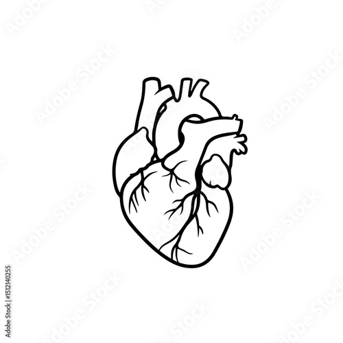 Real Heart Outline silhouette vector flat illustration design.