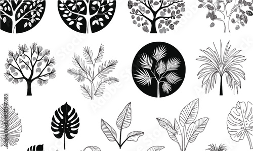 Modern vector illustration set of top view tree canopies and tropical leaf outlines, Includes various circular foliage patterns representing different tree types, easily scalable   and editable.