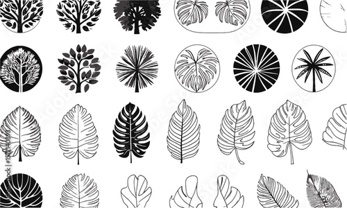 Modern vector illustration set of top view tree canopies and tropical leaf outlines, Includes various circular foliage patterns representing different tree types, easily scalable   and editable.