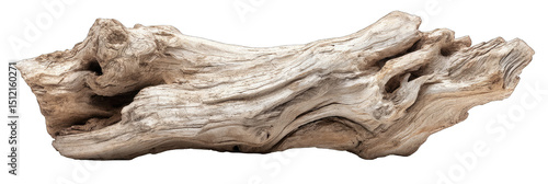 Piece of weathered driftwood