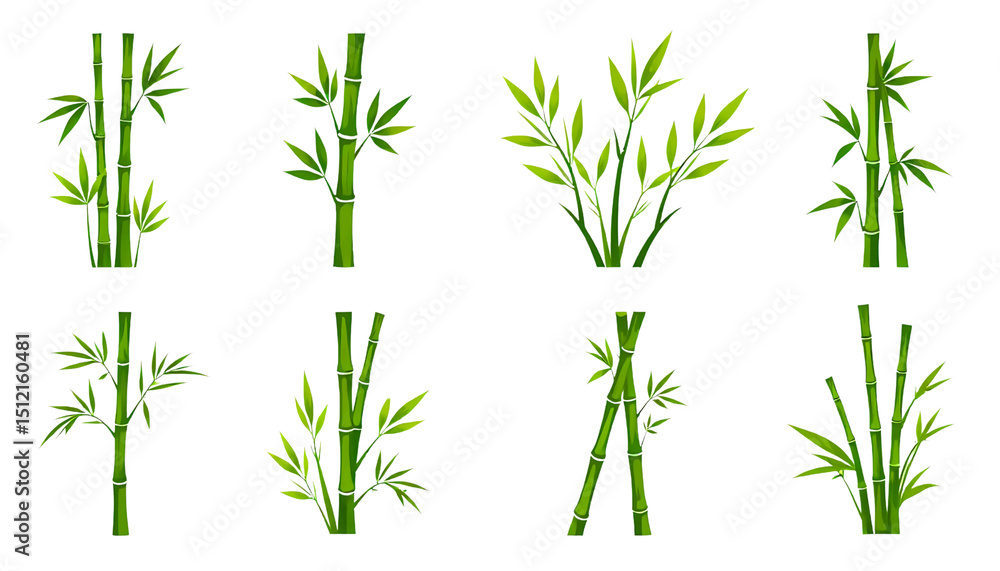 Fototapeta premium Bamboo tree branches vector style set png. 