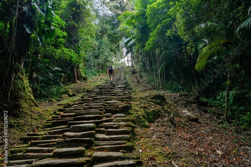 path rock in the forest in tayrona lost city in sierra nevada of santa marta colombia 