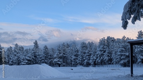 Photography winter landscape in the Arizona mountains