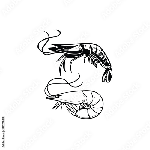 Two shrimp isolated on white background, one in black and white, one in outline. Silhouette Art