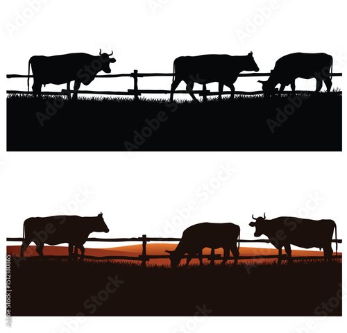 herd of domestic cows grazing in the field behind wooden fence - cattle farm vector silhouette outdoors scene