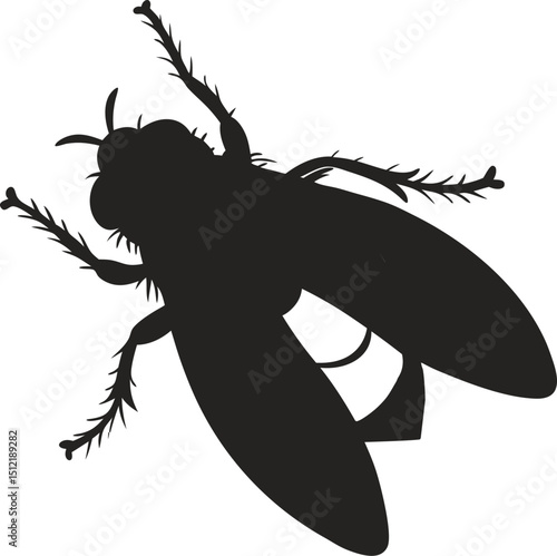 Shadow Fly Silhouette